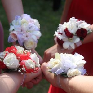 Meet your Posher, Lindsay